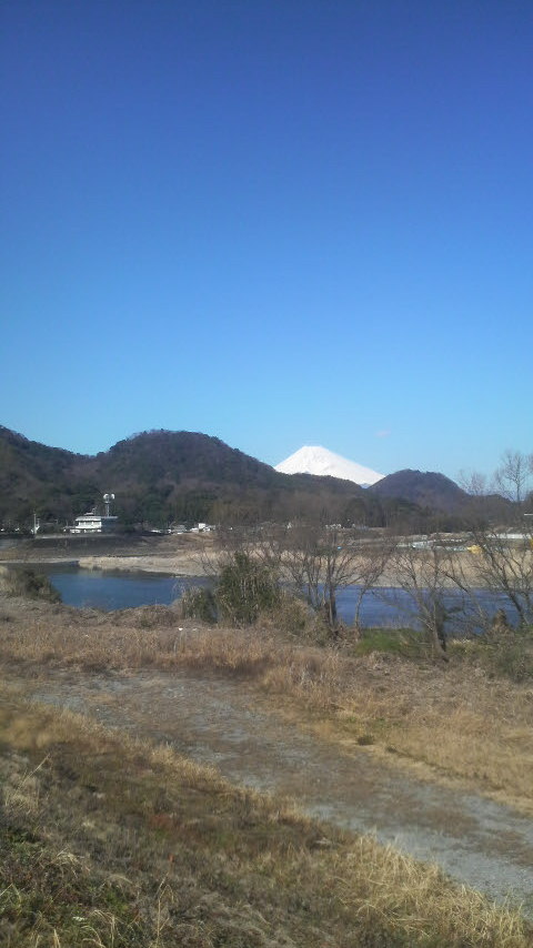 １５．２．１狩野川越えに富士山.jpg